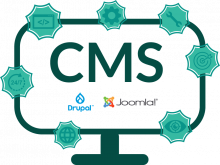 Content management system (CMS) website